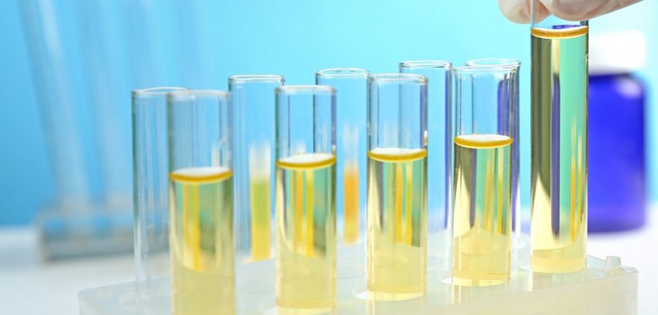 How can you find the best synthetic urine kits?